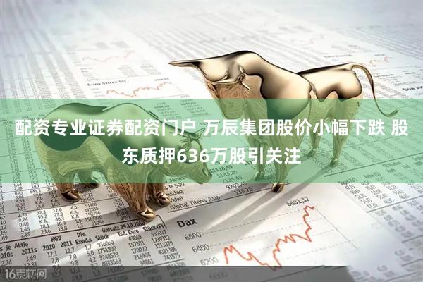 配资专业证券配资门户 万辰集团股价小幅下跌 股东质押636万股引关注