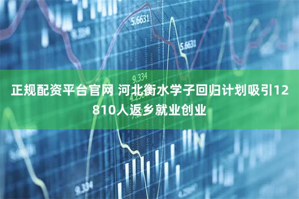正规配资平台官网 河北衡水学子回归计划吸引12810人返乡就业创业
